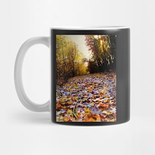 Autumn Leaf Path (HDR) Mug